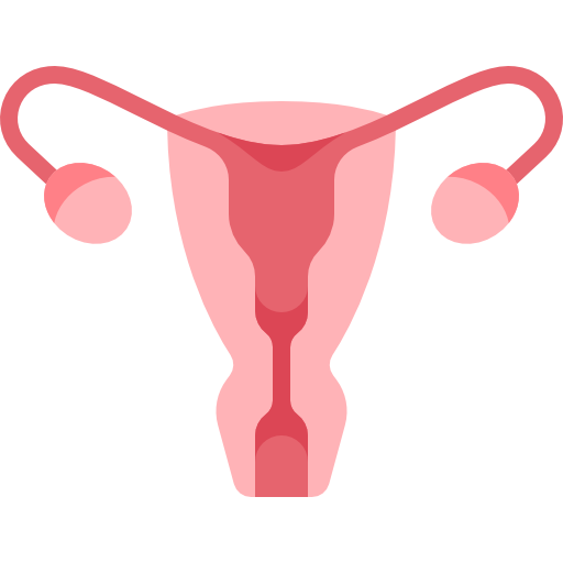 Uterus - Free medical icons